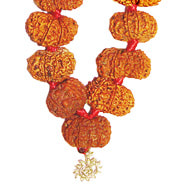 9 mukhi Nepal, 10 mukhi Nepal, 13 mukhi Nepal, 1 mukhi Nepal and Java blessed and charged beads, powerful Rudraksha kanthas, rosaries, rudraksha bracelets. 